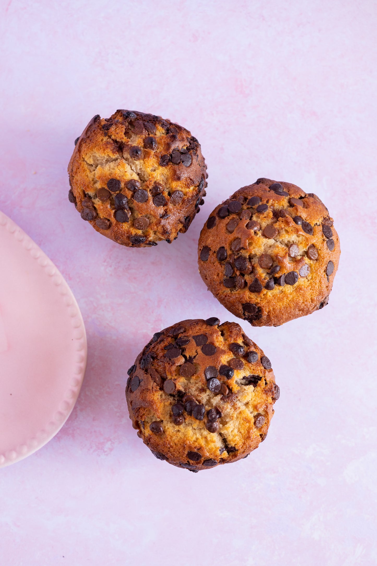 Chocolate Chip Muffins 🍫🧁