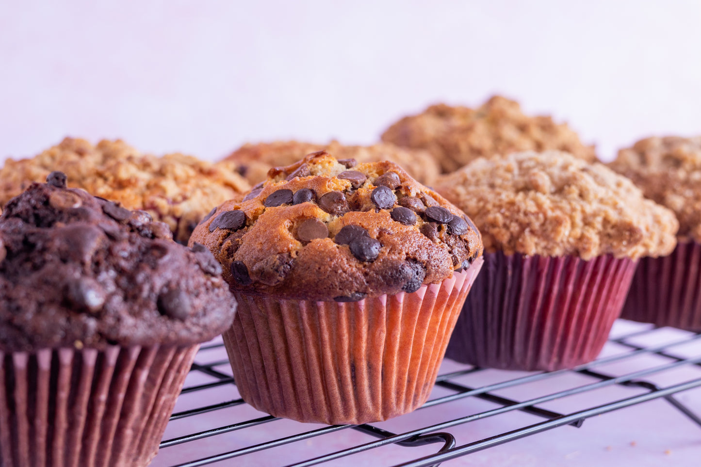 Chocolate Chip Muffins 🍫🧁